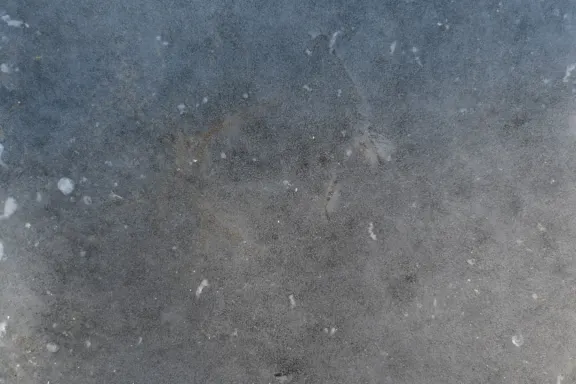 Kaszinó Coins Game Támogatás